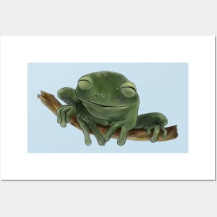 Happy Tree Frog Posters and Art